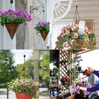 Plant Pulley Set for Garden Baskets and Bird Feeders