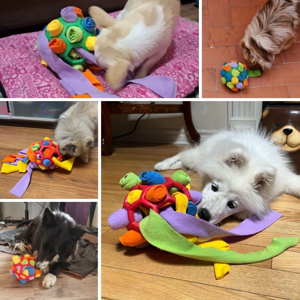 PupWhiz Snuffle Ball — Dog Puzzle Toy, Treat Dispenser, Enrichment Feeder, Mental Stimulation, Slow Feeding - View 3