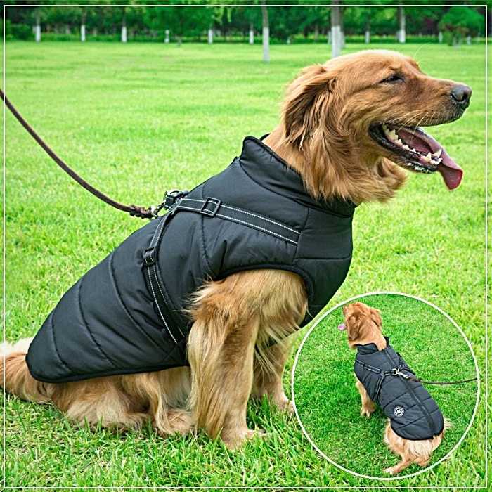 Waterproof Dog Jacket Harness - 2-in-1 Design