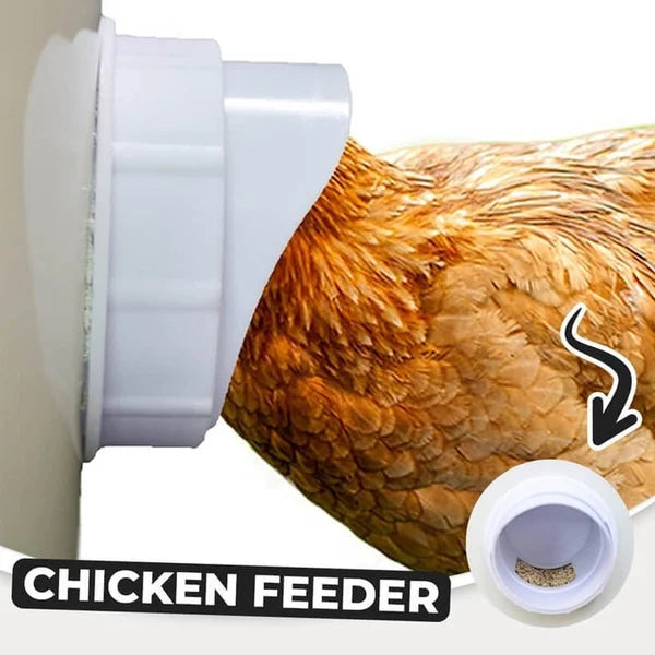 DIY Chicken Feeder - Automatic Poultry Feeder