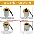Bucket Lid Rat Trap