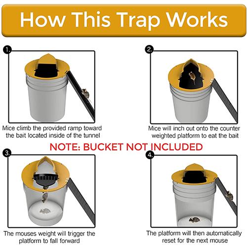 Bucket Lid Rat Trap