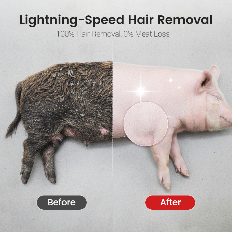 Pig Hair Remover Scraper Disc — Lint Brush Refill