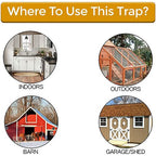 Bucket Lid Rat Trap