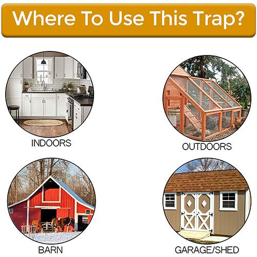 Bucket Lid Rat Trap