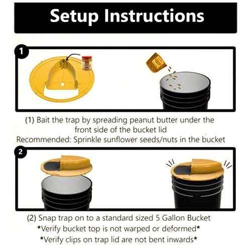 Bucket Lid Rat Trap