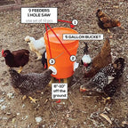 DIY Chicken Feeder - Automatic Poultry Feeder