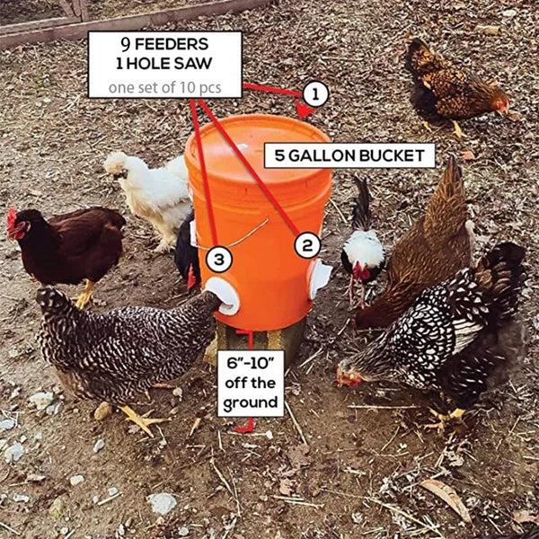 DIY Chicken Feeder - Automatic Poultry Feeder