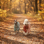 Autumn Breeze Outdoor Suit