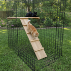 Catio Walkway & Ramp for Habitat Haven Enclosure
