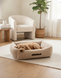 Beige Teddy Sofa Dog Bed
