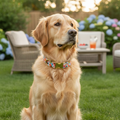 Garden Party Dog Collar