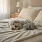Elegant Whippet Pajamas