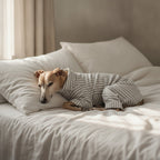 Elegant Whippet Pajamas