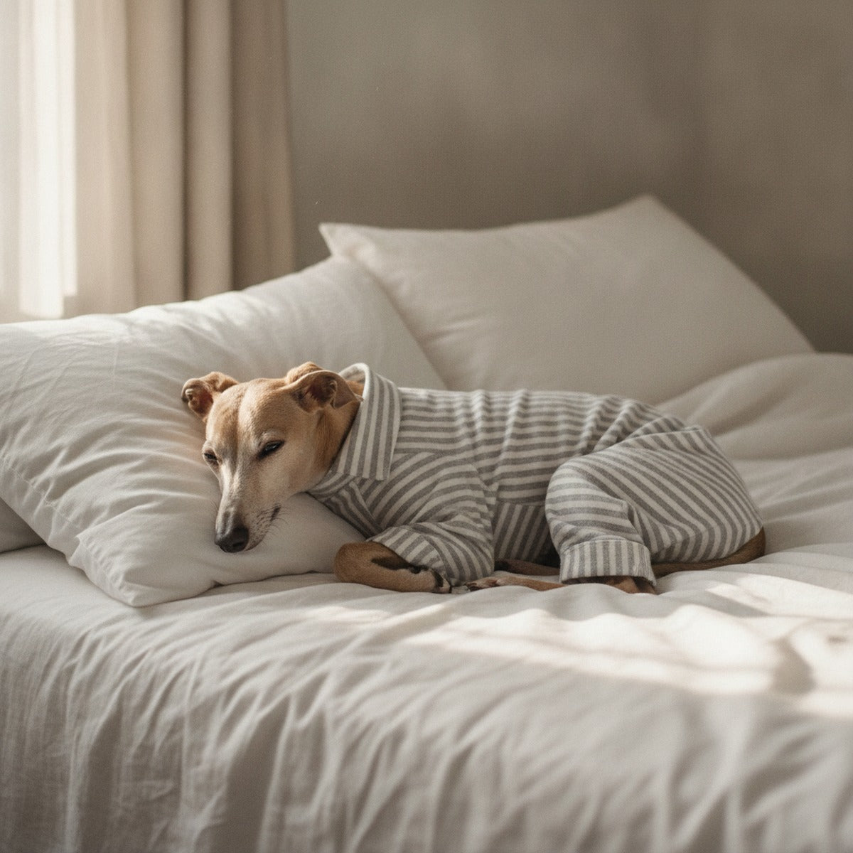Elegant Whippet Pajamas