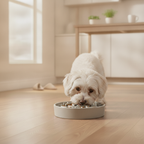 slow-feeder-bowl lifestyle 5