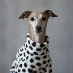 Dalmatian Cozy Fleece Jumpsuit