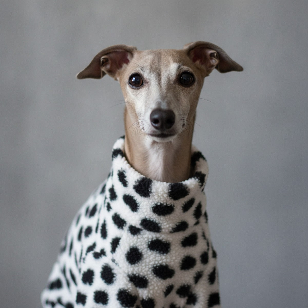 Dalmatian Cozy Fleece Jumpsuit