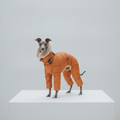 AuroraPuff DownShield Suit