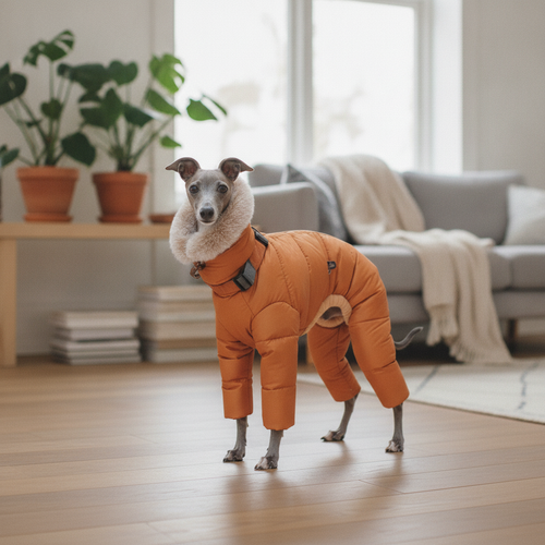 aurorapuff-downshield-suit lifestyle 1