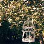 Plant Pulley Set for Garden Baskets and Bird Feeders