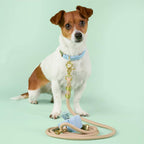Flax Marine Rope Dog Leash — Durable Cotton Rope Leash for Walking, Comfortable Grip Pet Lead, Strong Training Leash for Medium Large Dogs, Stylish Nautical Design - View 4