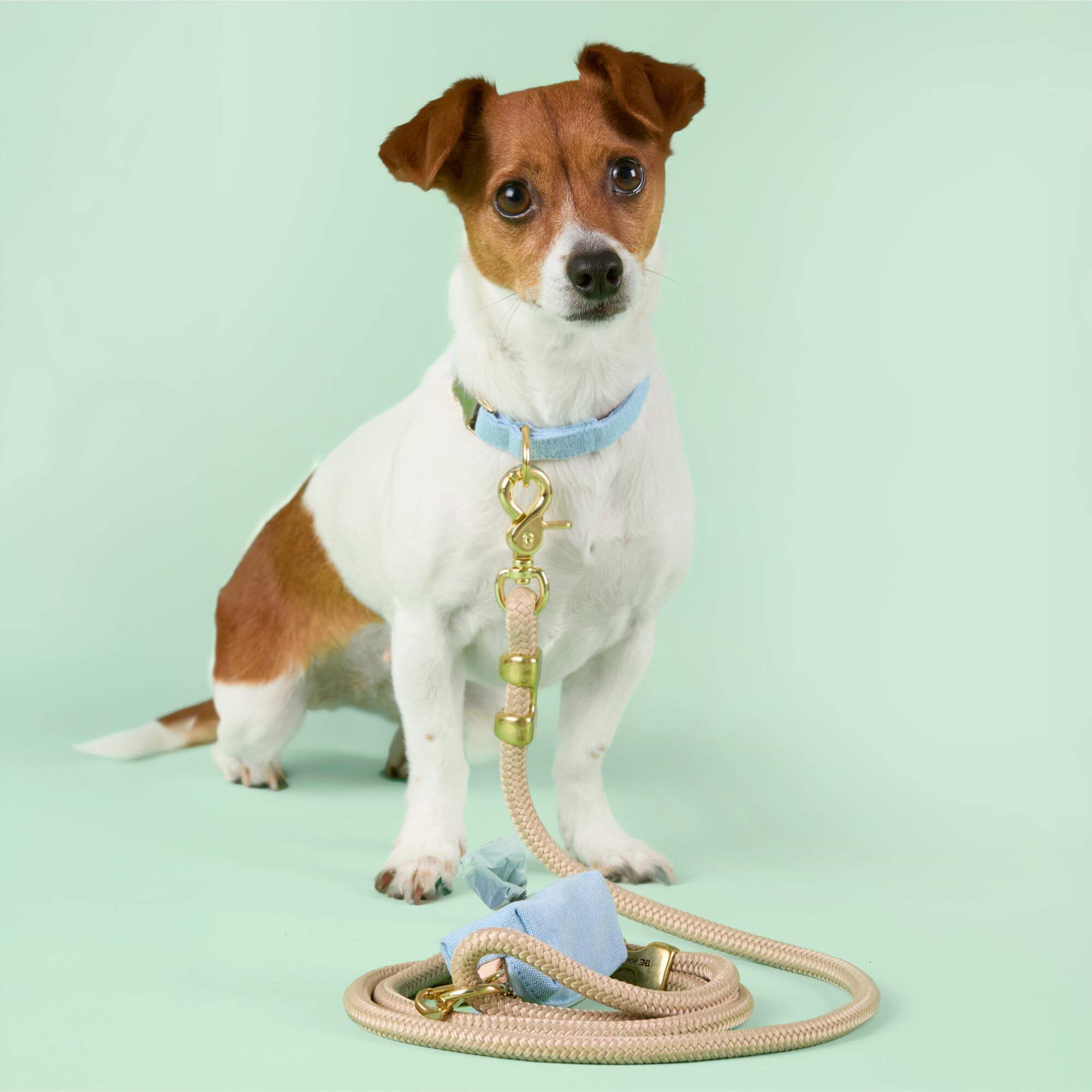 Flax Marine Rope Dog Leash — Durable Cotton Rope Leash for Walking, Comfortable Grip Pet Lead, Strong Training Leash for Medium Large Dogs, Stylish Nautical Design - View 4