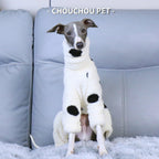 Dalmatian Cozy Fleece Dog Jumpsuit — Warm One Piece Pet Pajama, Soft Winter Loungewear for Small Dogs, Dalmatian Print Dog Outfit, Cozy Indoor Pet Clothing - View 3