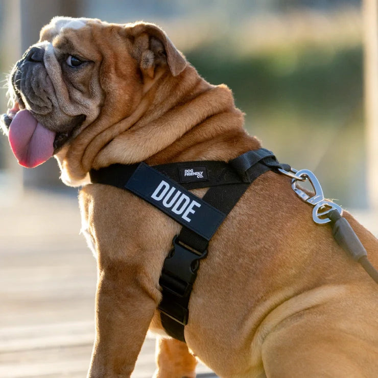 Personalized Dog Harness Black — Adjustable No-Pull Pet Vest, Soft Padded Walking Harness for Small Medium Dogs, Reflective Safety Strap, Comfort Fit - View 6