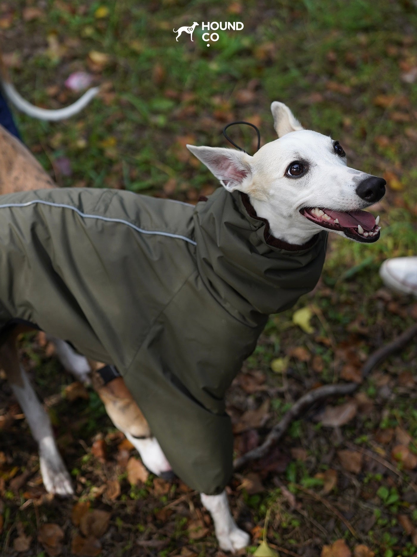 Explorer Full-Cover Dog Raincoat — Waterproof Pet Jacket with Hood, Reflective Safety Vest for Walking, Adjustable Dog Coat for All Breeds, Windproof Outdoor Gear - View 5