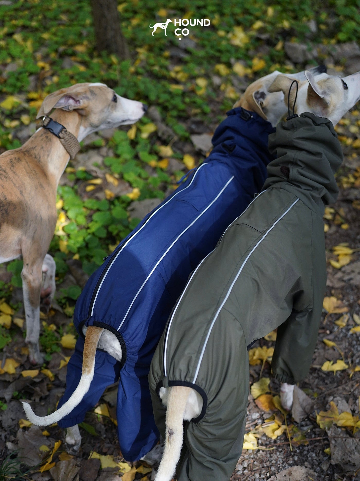 Explorer Full-Cover Dog Raincoat — Waterproof Pet Jacket with Hood, Reflective Safety Vest for Walking, Adjustable Dog Coat for All Breeds, Windproof Outdoor Gear - View 4