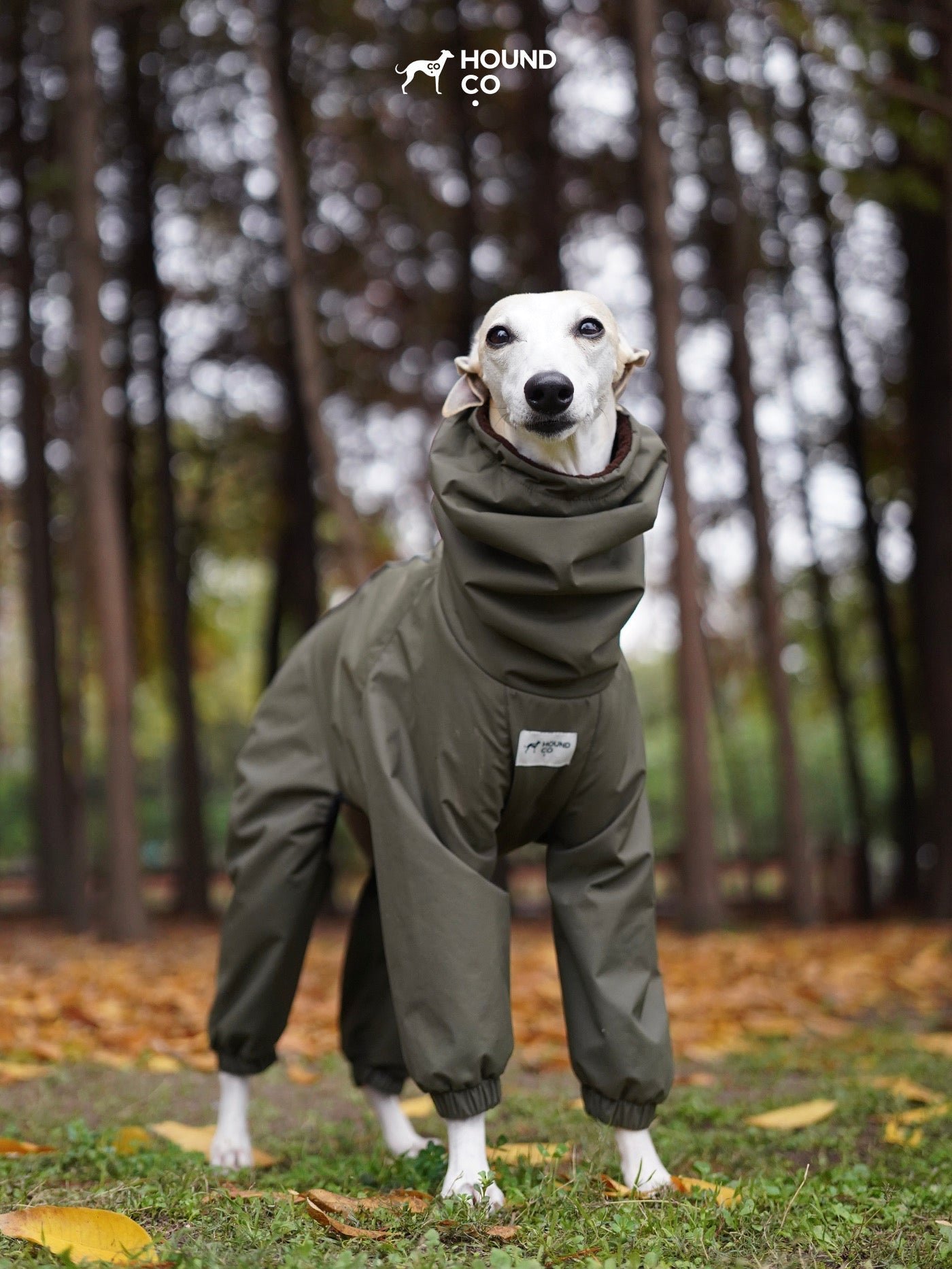 Explorer Full-Cover Dog Raincoat — Waterproof Pet Jacket with Hood, Reflective Safety Vest for Walking, Adjustable Dog Coat for All Breeds, Windproof Outdoor Gear - View 6