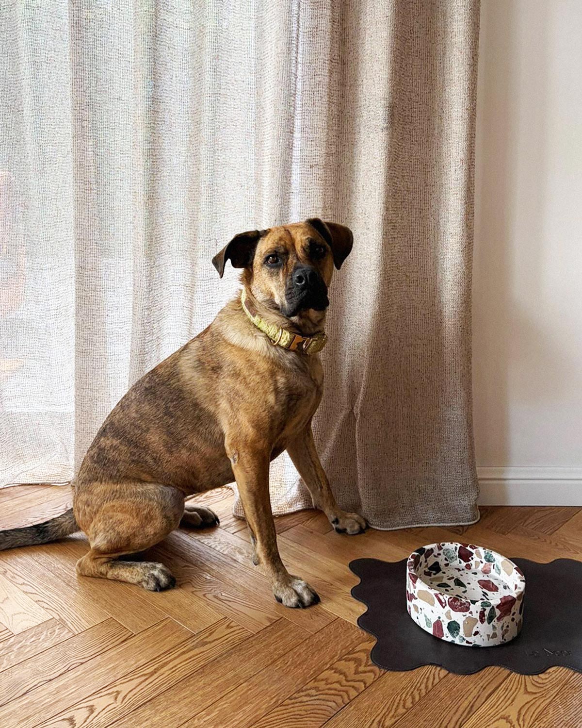 Terrazzo Marble Stone Dog Bowl — Designer Pet Food Bowl, Heavy Duty Non-Slip Cat Dish, Modern Aesthetic Pet Accessory, Easy Clean Stoneware - View 6