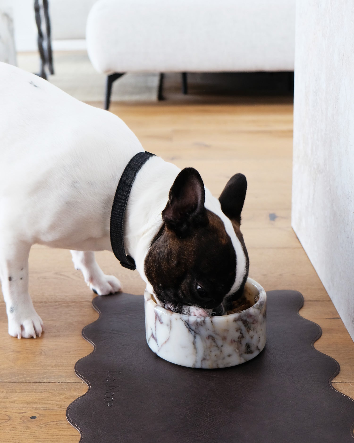 Calacatta Viola Marble Dog Bowl — Premium Italian Marble Pet Bowl, Non-Slip Heavy Duty Cat Food Dish, Elegant Designer Pet Accessory, Easy Clean Stone Bowl - View 5