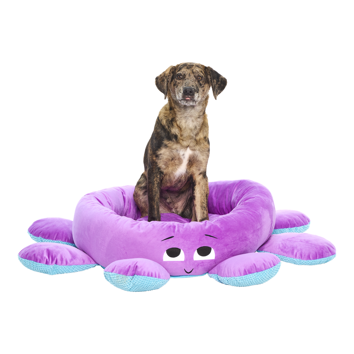 Ollie the Octopus Dog Bed — Fun Novelty Pet Couch, Soft Plush Donut Bed for Small Dogs, Unique Octopus Design Dog Bed, Machine Washable Comfort Bed - View 5