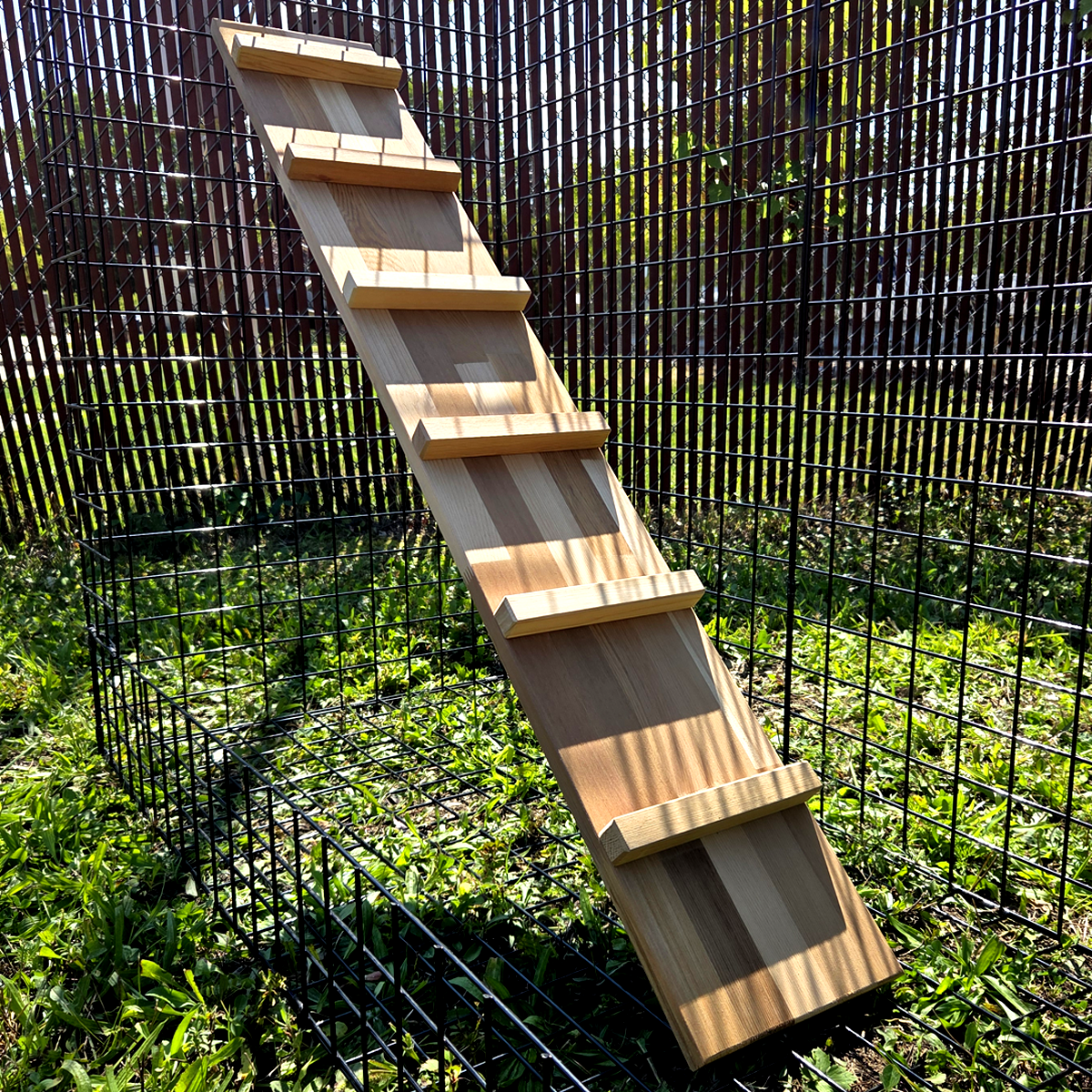 Catio Walkway Ramp — Outdoor Cat Enclosure Accessory, Habitat Haven Climbing Bridge, Safe Elevated Walkway for Cats, Weatherproof Catio Add-On - View 2