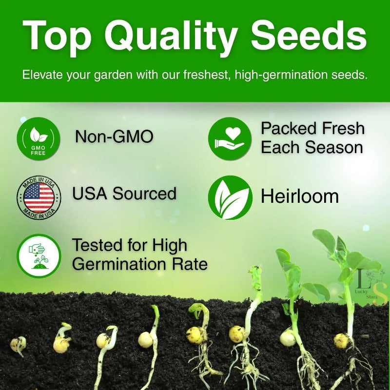 Non-GMO Moss Rose Seeds — Flowering Annual