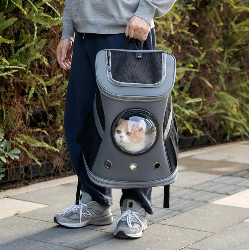 cat bubble backpack