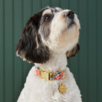 Garden Party Dog Collar — Floral Print Pet Necklace, Adjustable Nylon Dog Collar for Small Medium Breeds, Lightweight Everyday Walking Collar, Cute Designer Accessory - View 5