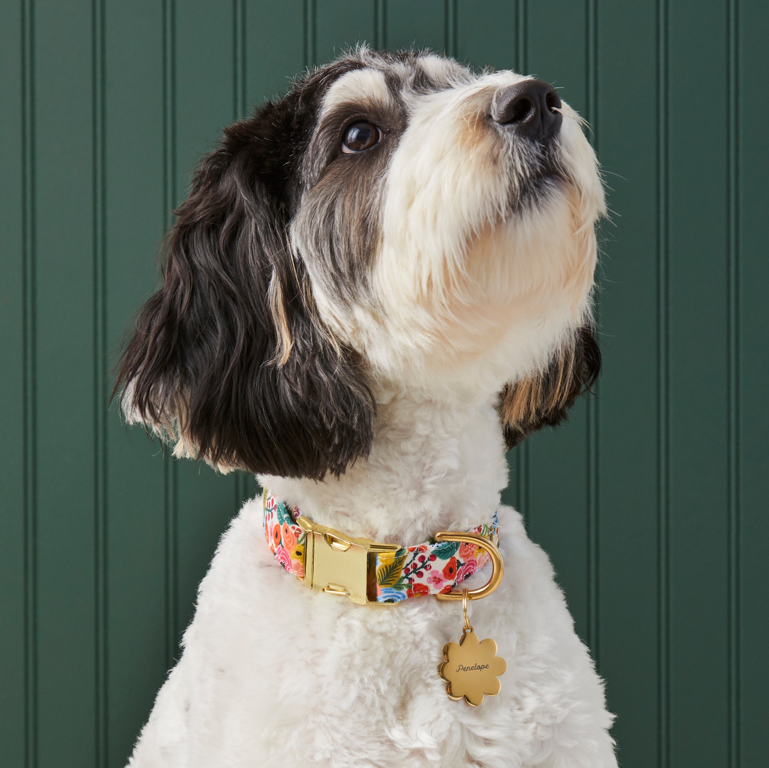 Garden Party Dog Collar — Floral Print Pet Necklace, Adjustable Nylon Dog Collar for Small Medium Breeds, Lightweight Everyday Walking Collar, Cute Designer Accessory - View 5