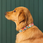 Garden Party Dog Collar — Floral Print Pet Necklace, Adjustable Nylon Dog Collar for Small Medium Breeds, Lightweight Everyday Walking Collar, Cute Designer Accessory - View 4