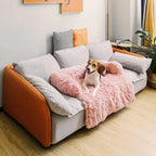 Dog Couch Bed — Plush Bolster Pet Sofa, Orthopedic Support for Medium Dogs, Washable Removable Cover, Cozy Indoor Dog Furniture, Comfortable Lounger - View 4