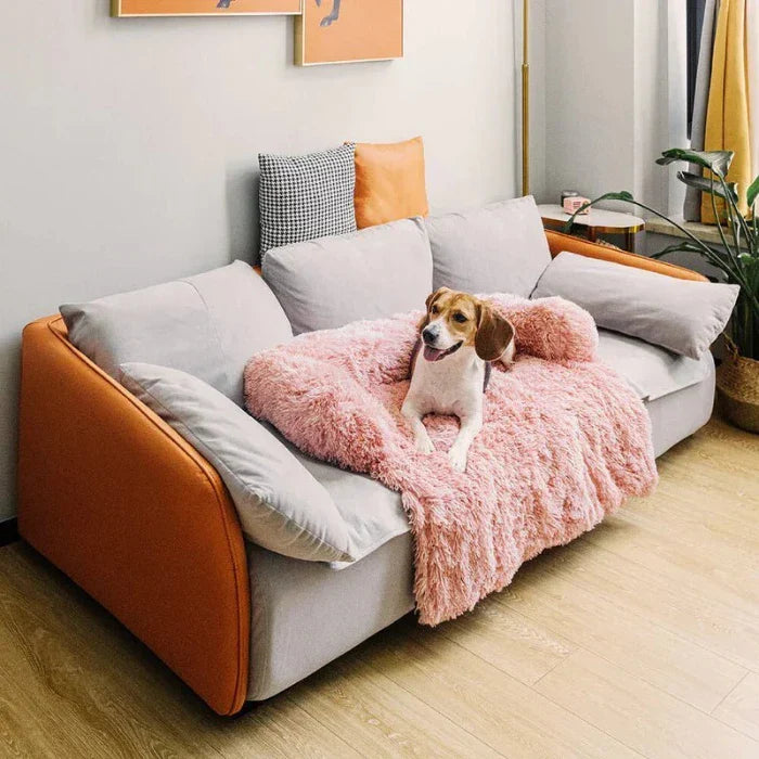 Dog Couch Bed — Plush Bolster Pet Sofa, Orthopedic Support for Medium Dogs, Washable Removable Cover, Cozy Indoor Dog Furniture, Comfortable Lounger - View 4