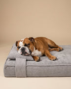 Grey Corduroy Orthopedic Dog Bed — Memory Foam Pet Couch, Joint Support for Senior Dogs, Washable Removable Cover, Luxury Comfort Bed for Medium Dogs - View 2