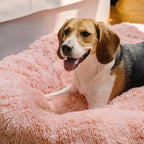 Round Dog Bed — Cozy Donut Cuddler for Small Medium Dogs, Plush Bolster Nest Bed, Anti-Anxiety Calming Pet Bed, Machine Washable Comfort Sleep Bed - View 3