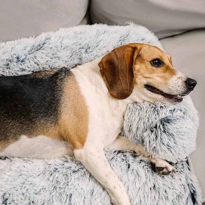 Dog Couch Bed — Plush Bolster Pet Sofa, Orthopedic Support for Medium Dogs, Washable Removable Cover, Cozy Indoor Dog Furniture, Comfortable Lounger - View 3